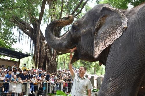 五一假期首日，深圳野生動物園動物科普講解吸引游客